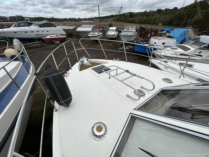 Broom Crown 37