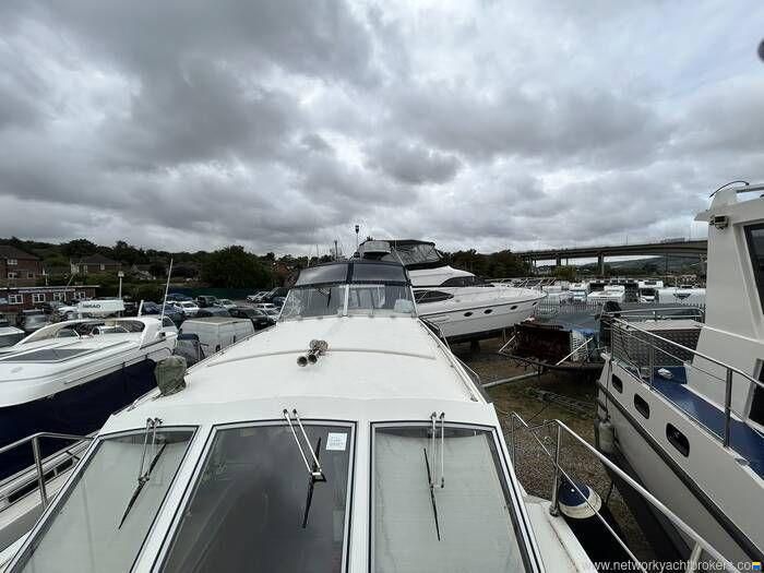 Broom Crown 37