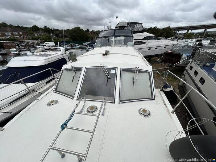 Broom Crown 37