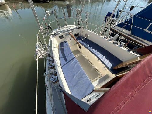 Cornish Crabbers 24
