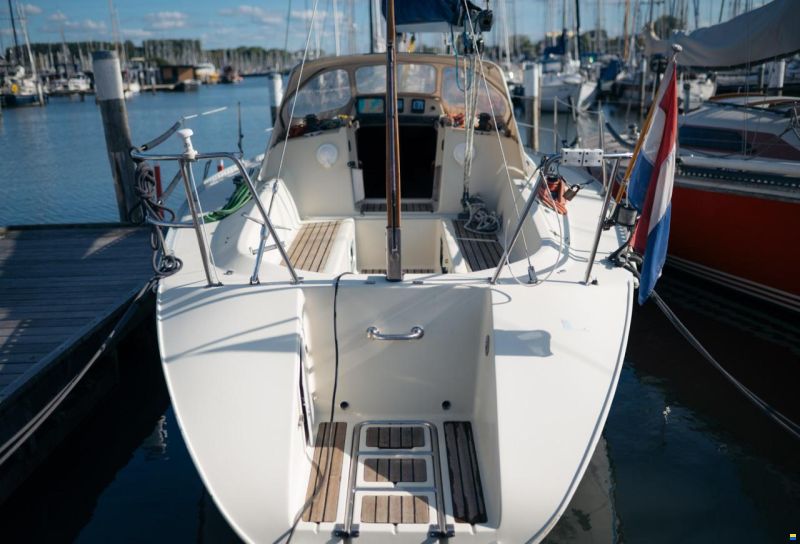 Elan 33