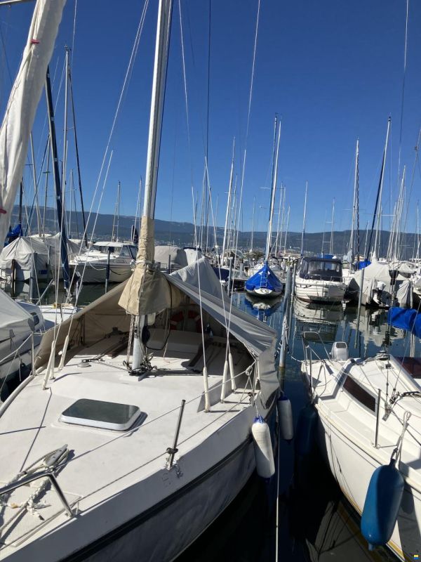 Jeanneau Daysailer Brio Q