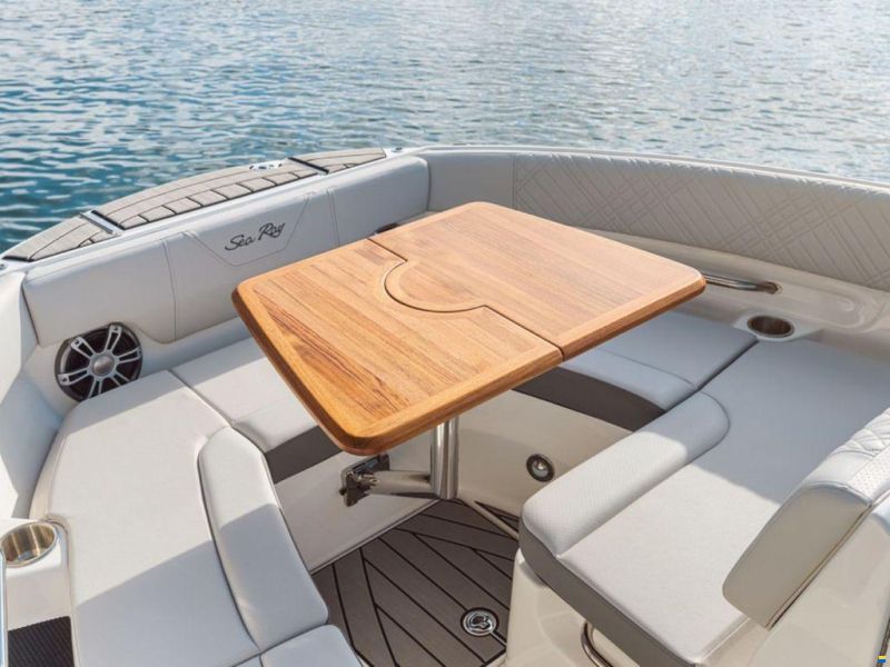 Sea Ray SDX 250