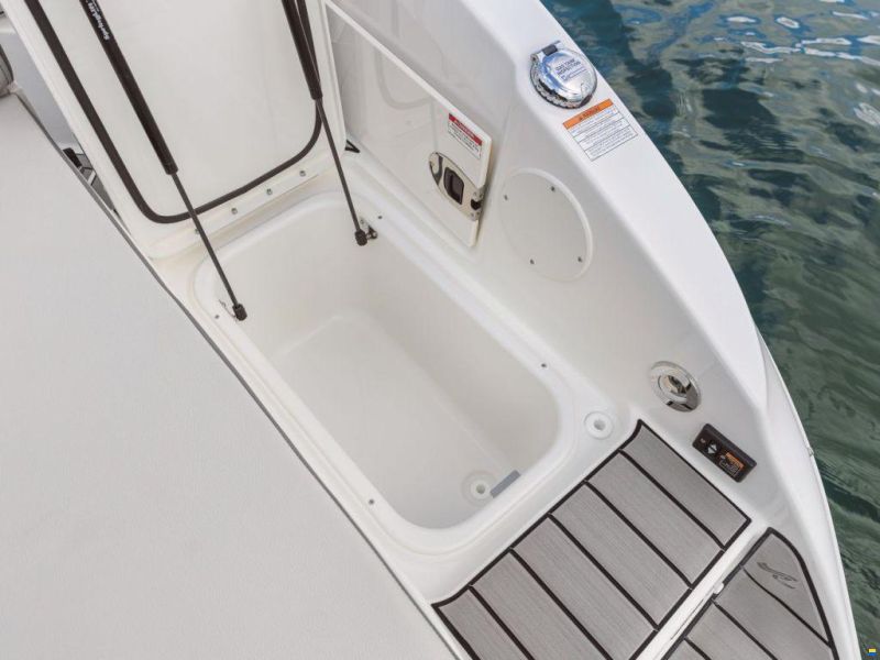Sea Ray SDX 250