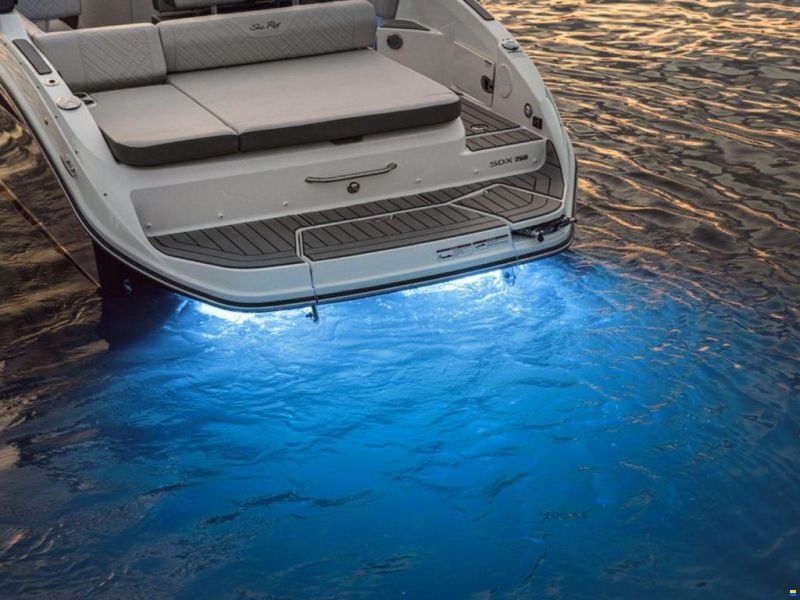 Sea Ray SDX 250
