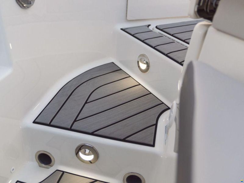 Sea Ray SDX 250