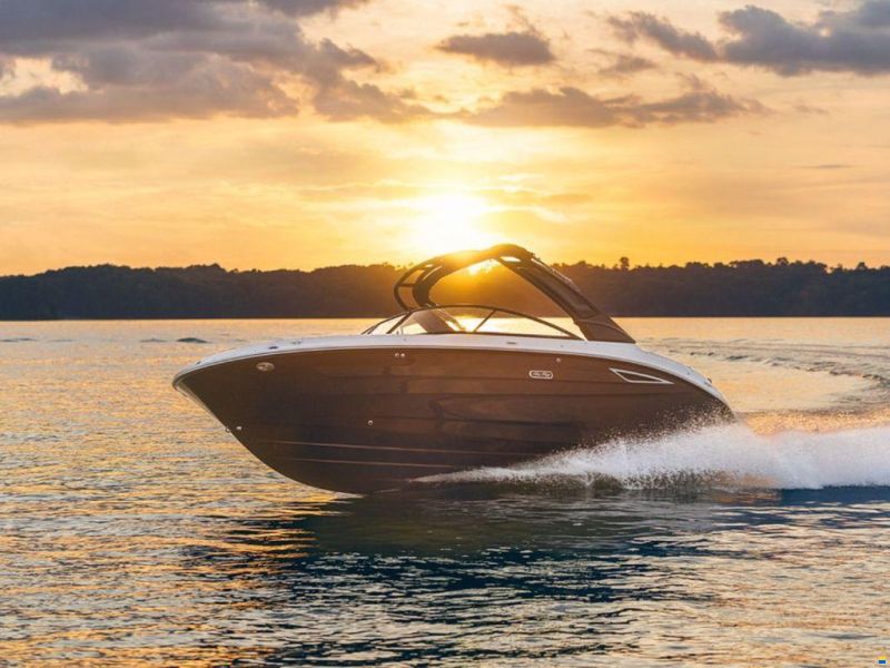Sea Ray SDX 250
