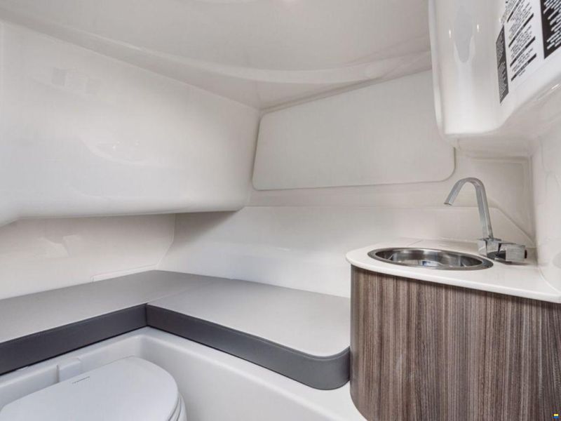 Sea Ray SDX 250