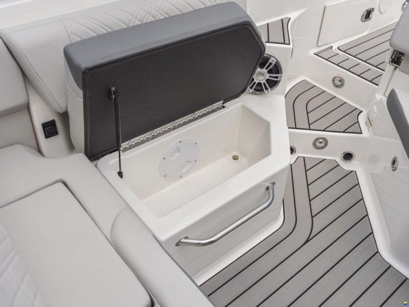 Sea Ray SDX 250