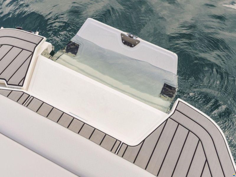 Sea Ray SDX 250