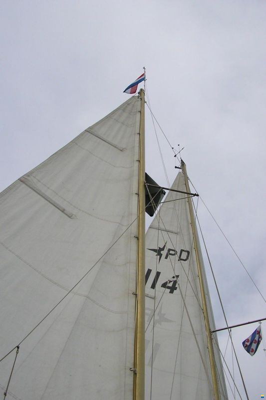 Westerly Pentland