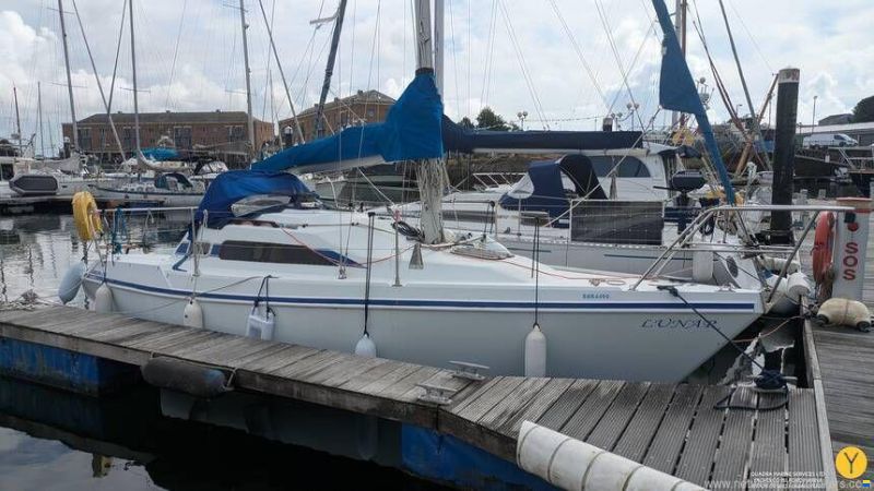 Hunter Horizon 272