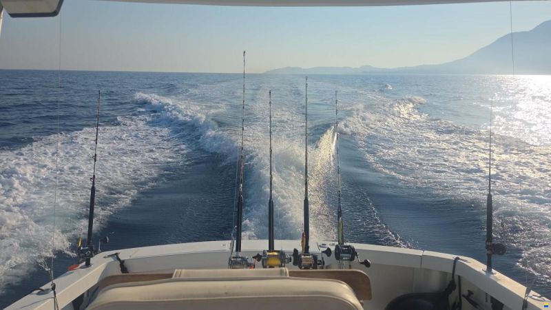 Luhrs 290 Tournament – 2x Yanmar Diesel