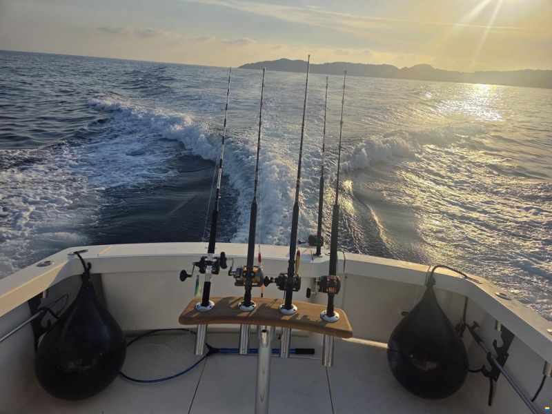 Luhrs 290 Tournament – 2x Yanmar Diesel
