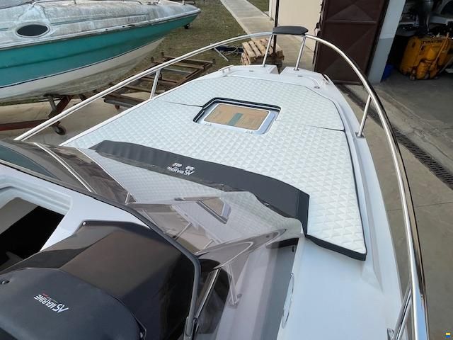AS Marine 22 GL + Honda 100
