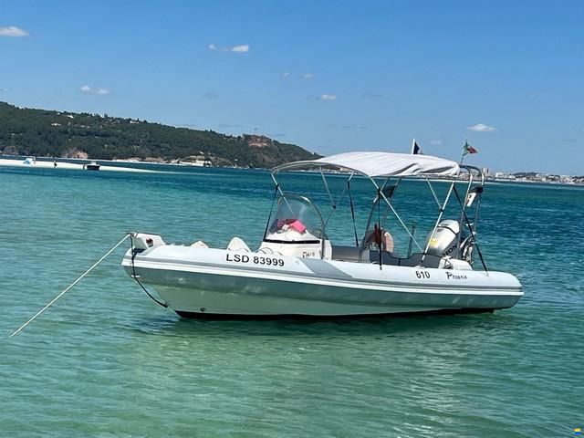 Silver Marine Phoenix 610