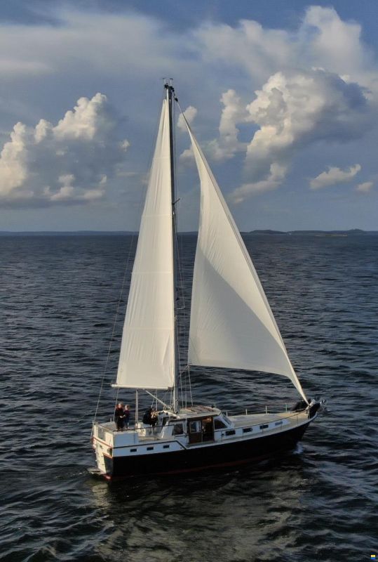 Seafinn 411S
