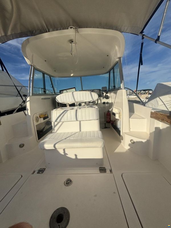 Faeton Moraga 780