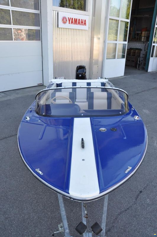 Schweizer SAPHIR 1H