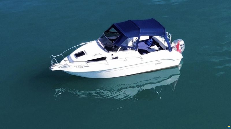 Drago Fiesta 600