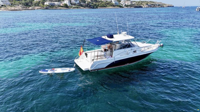 Faeton 980 Open Moraga