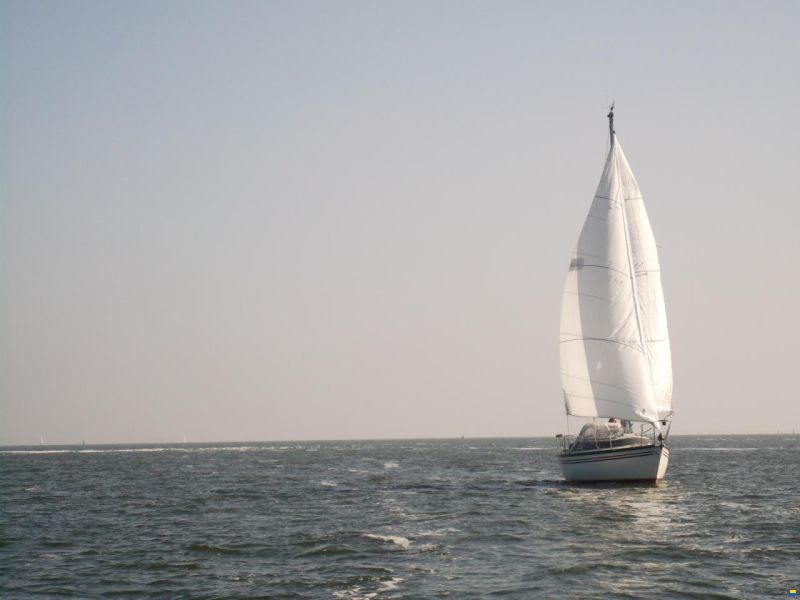 Dufour 29