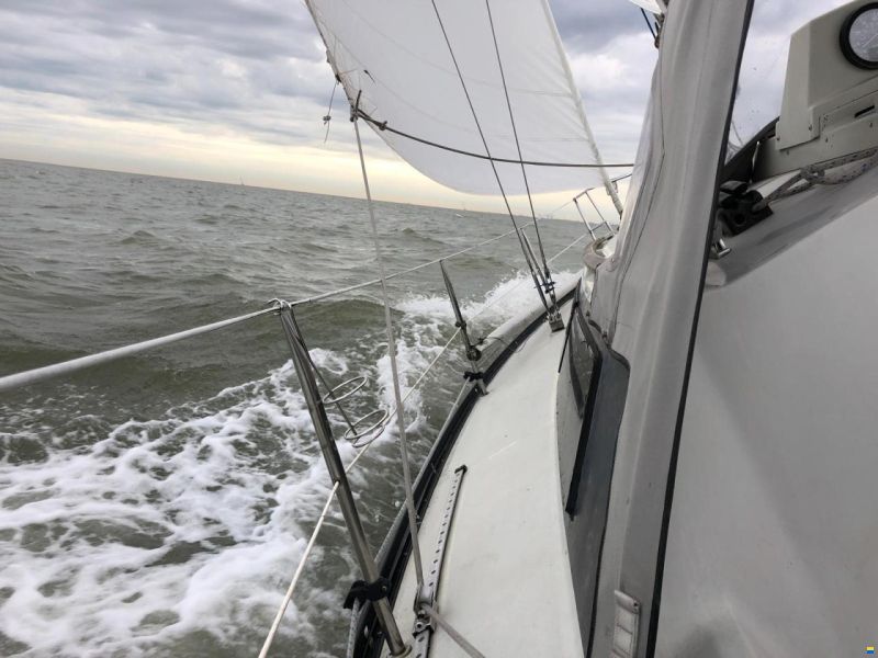 Dufour 29
