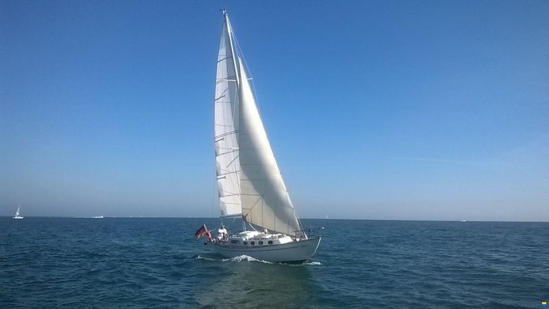 Alpa 11 Maica
