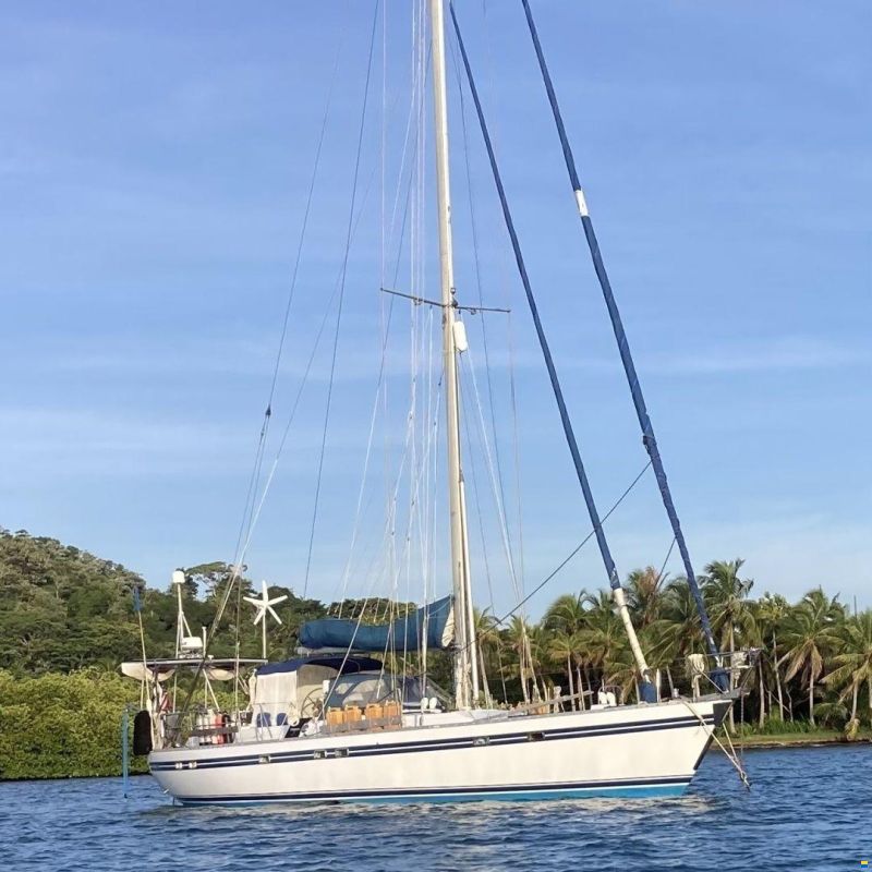Tayana 55
