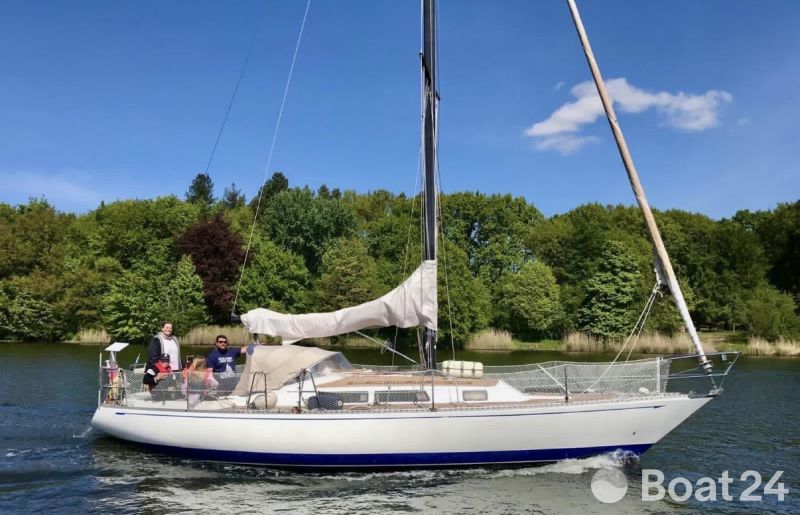 Puma 34
