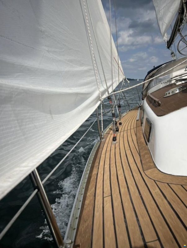 Puma 34