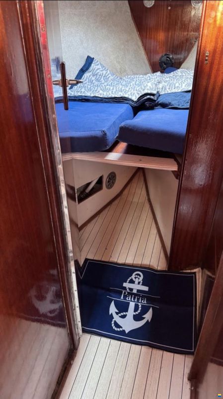 Puma 34