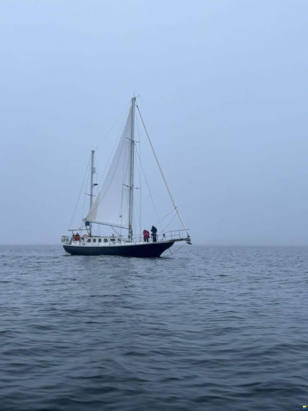 Endurance 44