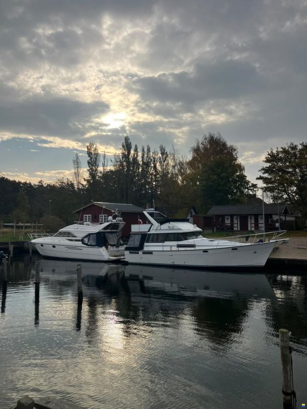 Bayliner 3888 Motoryacht
