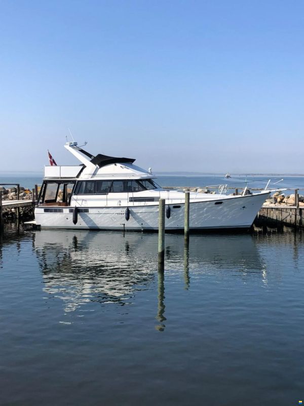 Bayliner 3888 Motoryacht