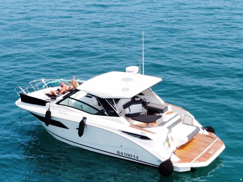 Sea Ray Sundancer 320