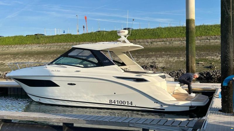 Sea Ray Sundancer 320