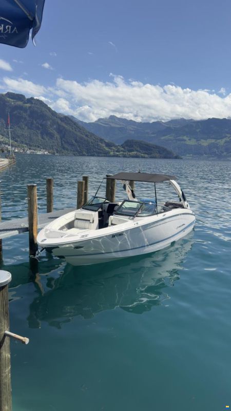 Regal LS6 Hensa Edition