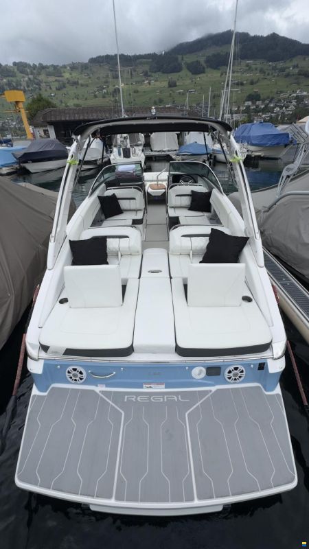 Regal LS6 Hensa Edition