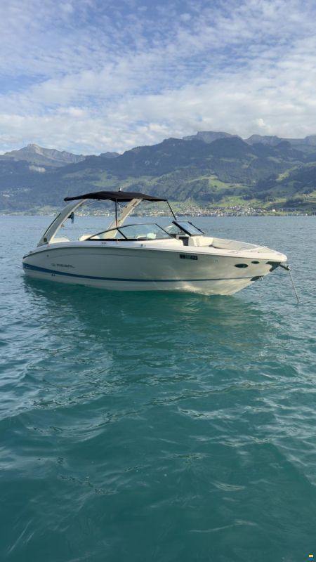 Regal LS6 Hensa Edition