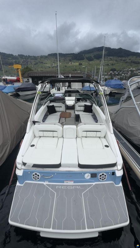 Regal LS6 Hensa Edition