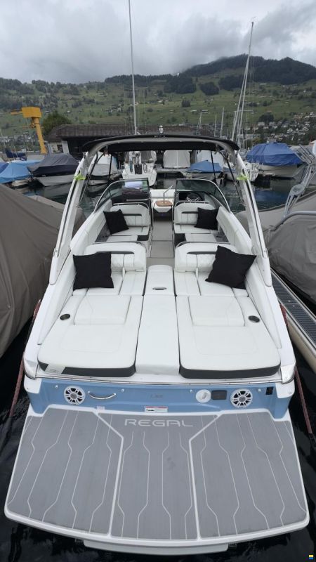 Regal LS6 Hensa Edition