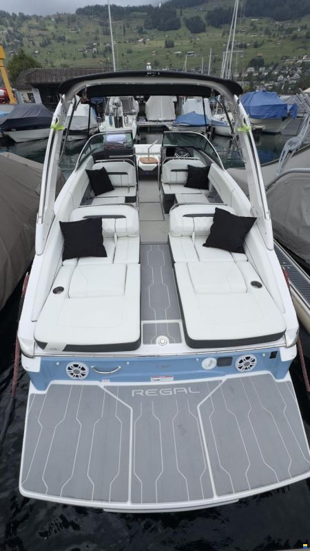 Regal LS6 Hensa Edition