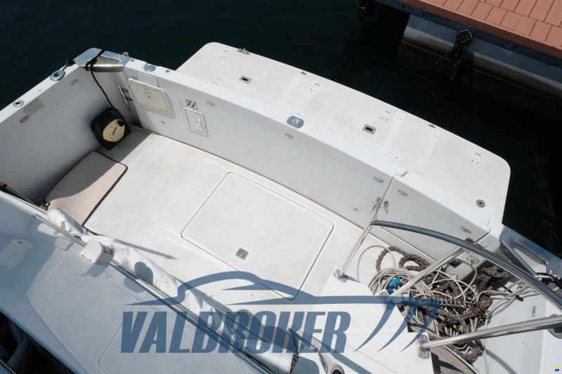 Carver Boat 400