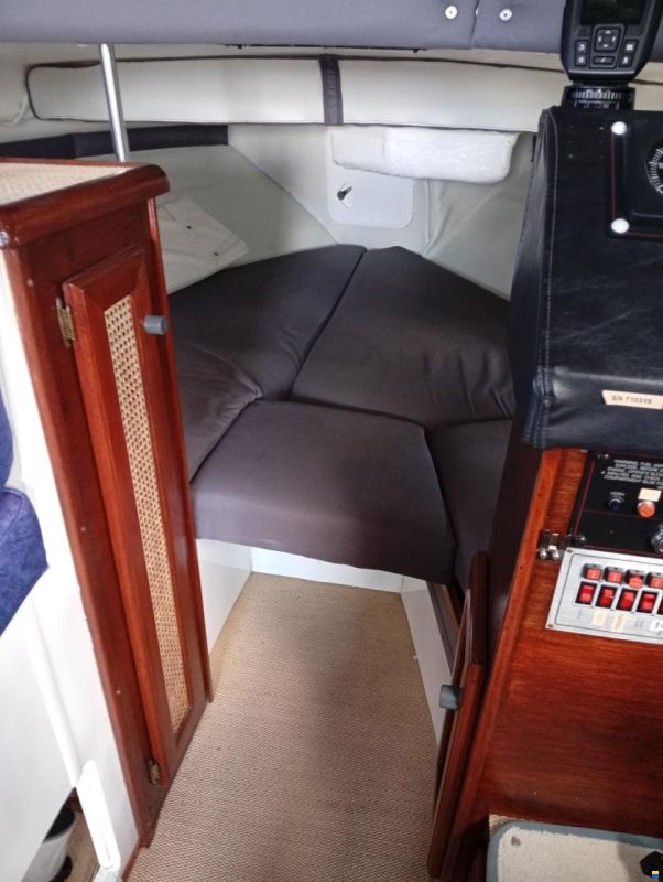 Bayliner Trophy 2560