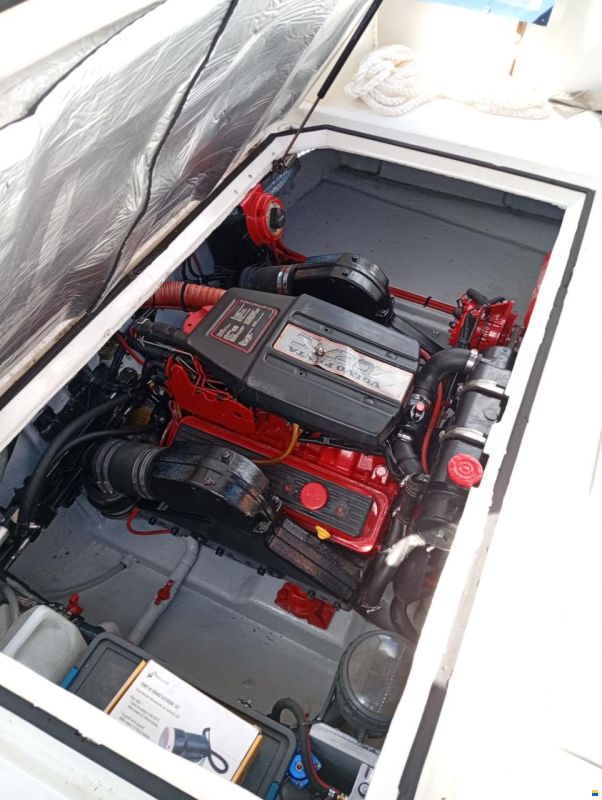 Bayliner Trophy 2560
