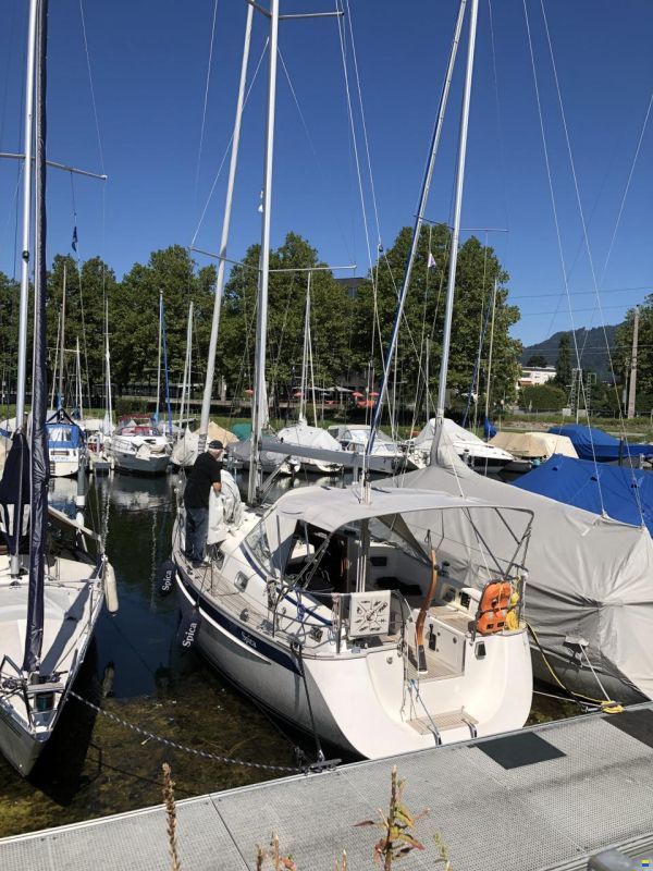 Hallberg-Rassy 310