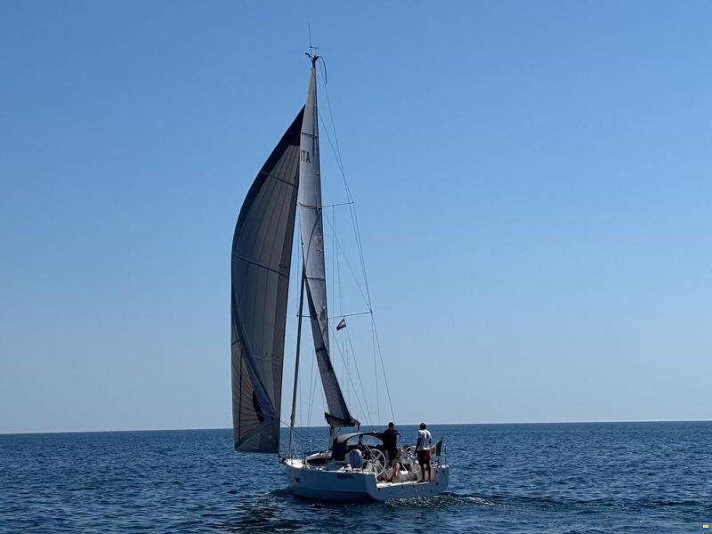 Elan 320