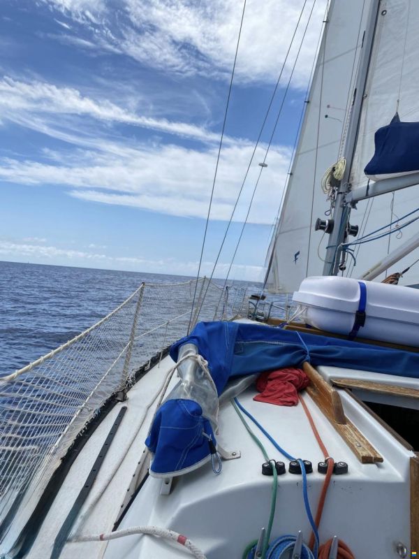 Neptun 27
