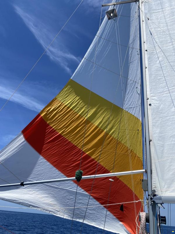 Neptun 27